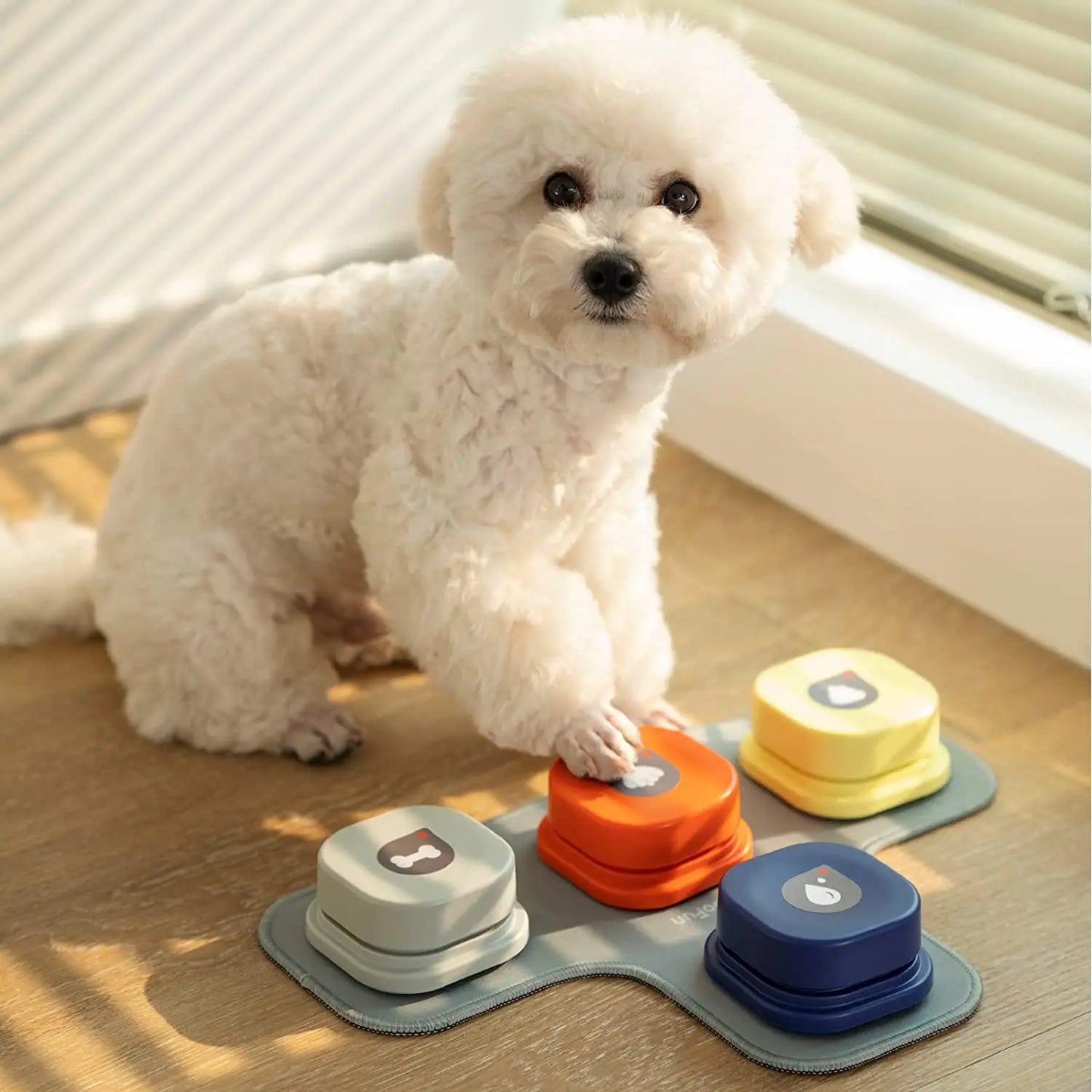 Pet Talk Bell: Interactive Training Tool