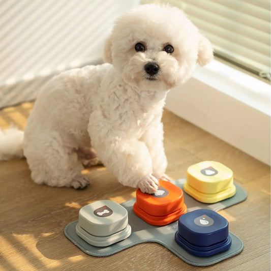 Pet Talk Bell: Interactive Training Tool